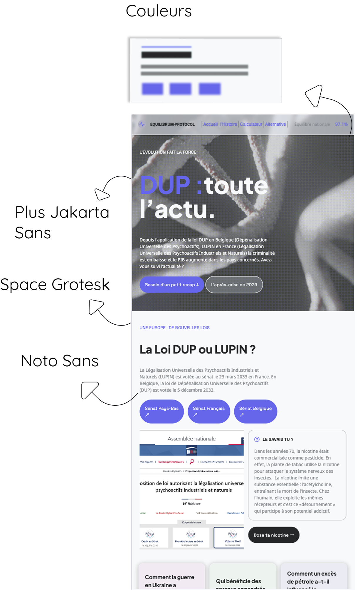 image du site web equilibrum